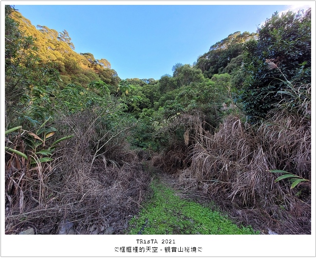 觀音山-祕境-01-02.jpg 觀音山-祕境-01-02.jpg