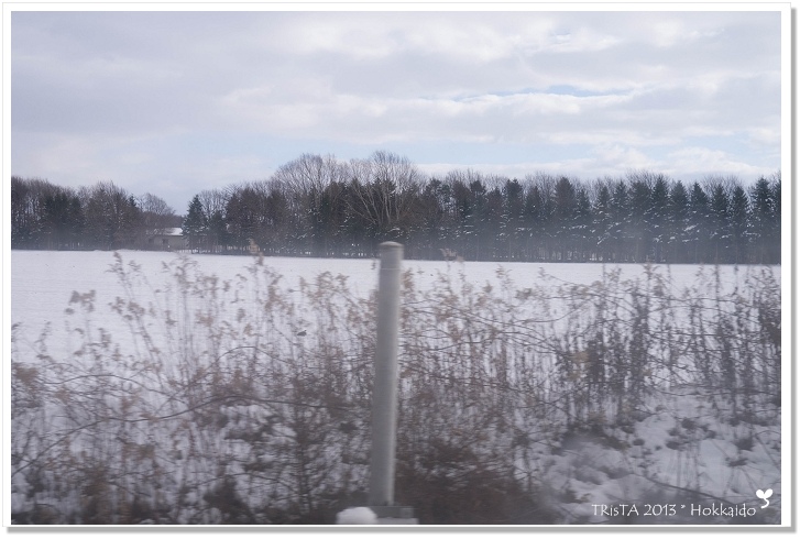 no.0701-08.jpg no.0701-08.jpg