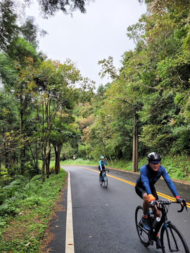 2021-11-14 12.11.29a.jpg 2021-11-14 12.11.29a.jpg