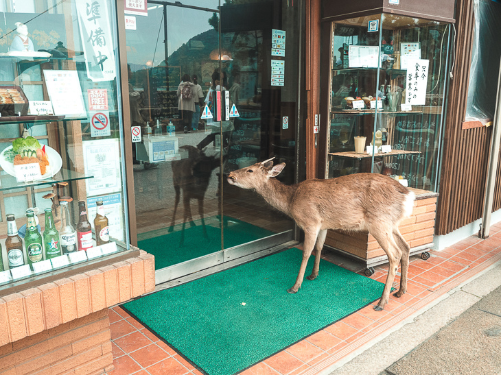 【日本隨記】第24天 宮島:嚴島神社(水中鳥居);鮮甜牡蠣+ 【日本隨記】第24天 宮島:嚴島神社(水中鳥居);鮮甜牡蠣+