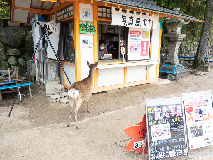 【日本隨記】第24天 宮島：嚴島神社(水中鳥居)；鮮甜牡蠣+