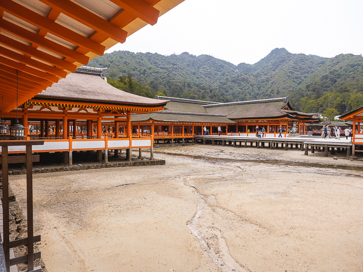 【日本隨記】第24天 宮島：嚴島神社(水中鳥居)；鮮甜牡蠣+