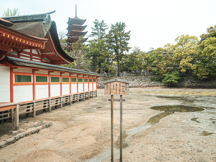 【日本隨記】第24天 宮島:嚴島神社(水中鳥居);鮮甜牡蠣+ 【日本隨記】第24天 宮島:嚴島神社(水中鳥居);鮮甜牡蠣+