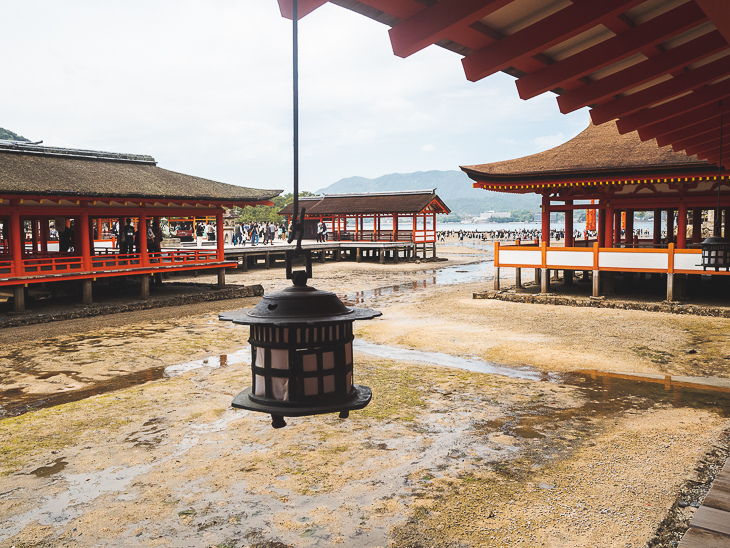 【日本隨記】第24天 宮島：嚴島神社(水中鳥居)；鮮甜牡蠣+