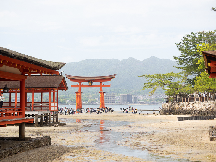 【日本隨記】第24天 宮島:嚴島神社(水中鳥居);鮮甜牡蠣+ 【日本隨記】第24天 宮島:嚴島神社(水中鳥居);鮮甜牡蠣+