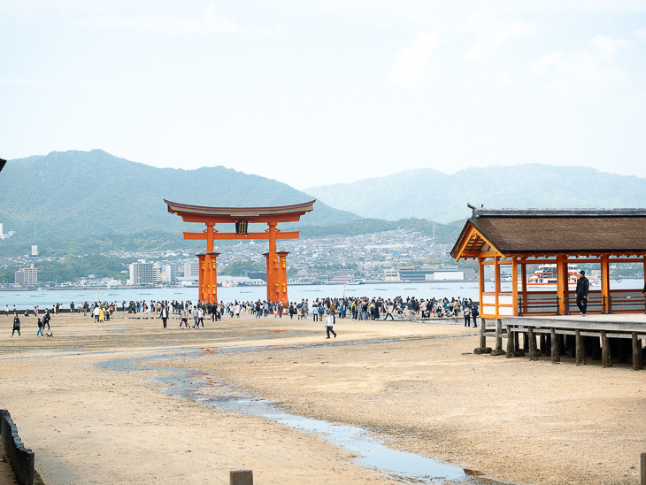 【日本隨記】第24天 宮島：嚴島神社(水中鳥居)；鮮甜牡蠣+