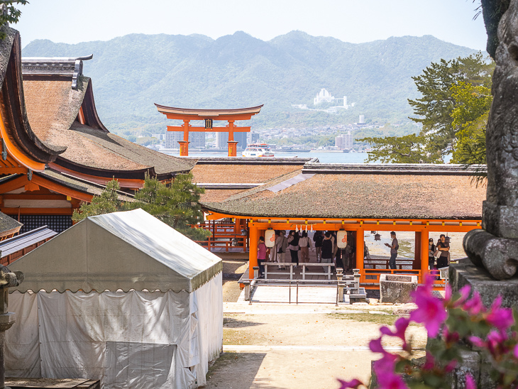 【日本隨記】第24天 宮島：嚴島神社(水中鳥居)；鮮甜牡蠣+