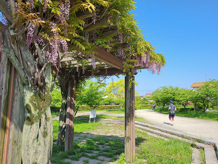 【日本隨記】第25.26天 倉敷美觀地區好逛好吃又好買；有鄰