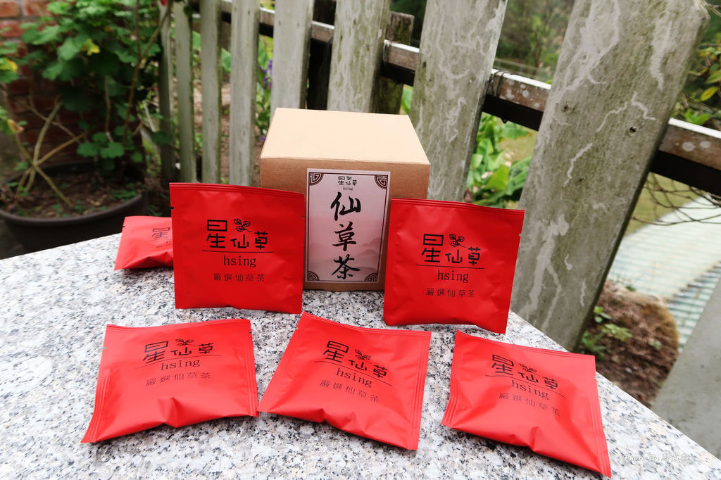 星仙草｜苗栗獅潭美食推薦：山中裡祕境甜品 在地人推薦不藏私 