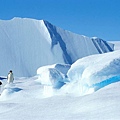 冰原企鵝.jpg