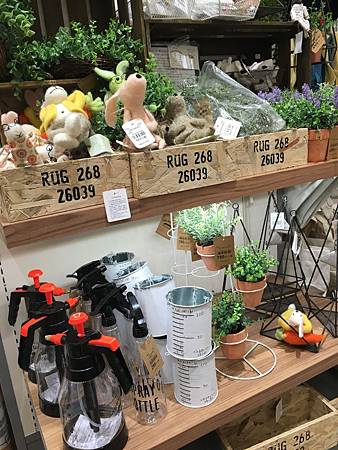 IMG_4599.JPG IMG_4599.JPG