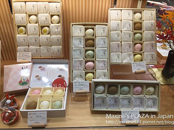 [旅遊] 日本中部自由行 九天八夜行程分享 (金澤景點、