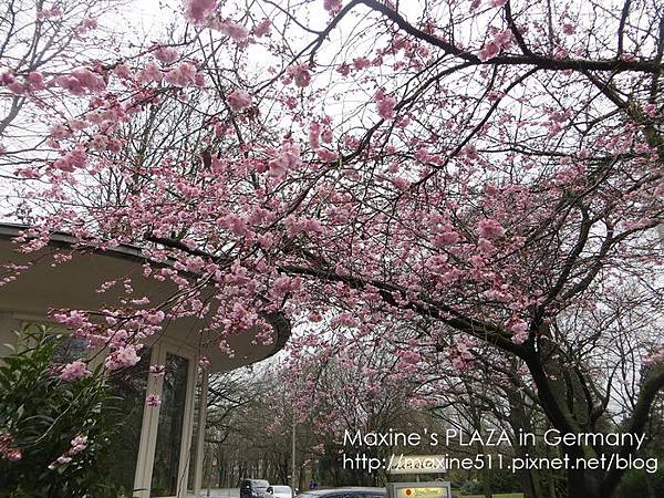 [旅遊] 德國自由行 ◎ 德國工業大城漢諾威 Hannove