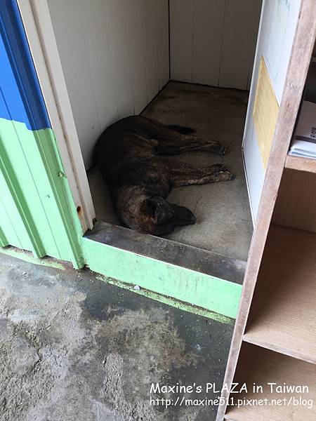 [小琉球] 住宿推薦 小琉球南洋渡假海景莊園 - 美麗海