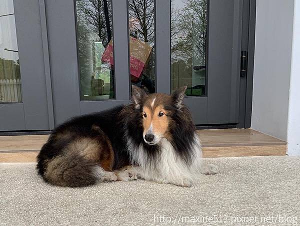 [國內旅遊] 南投埔里住宿推薦 ◎