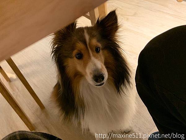 [國內旅遊] 南投埔里住宿推薦 ◎