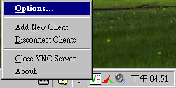 realvnc_config_02.png