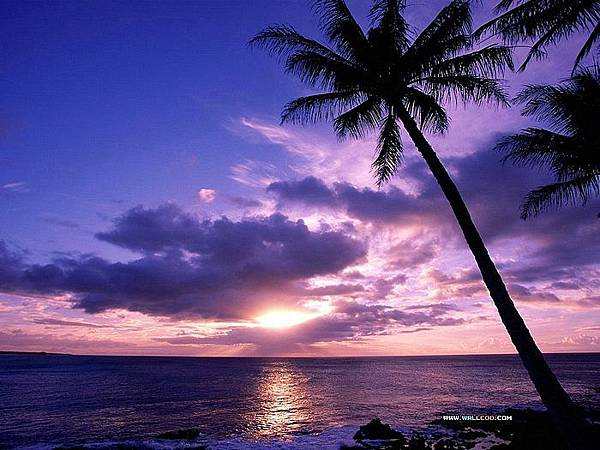 Tahitian_Paradise.jpg