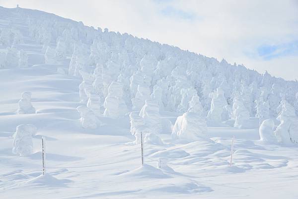 藏王樹冰.JPG 藏王樹冰.JPG