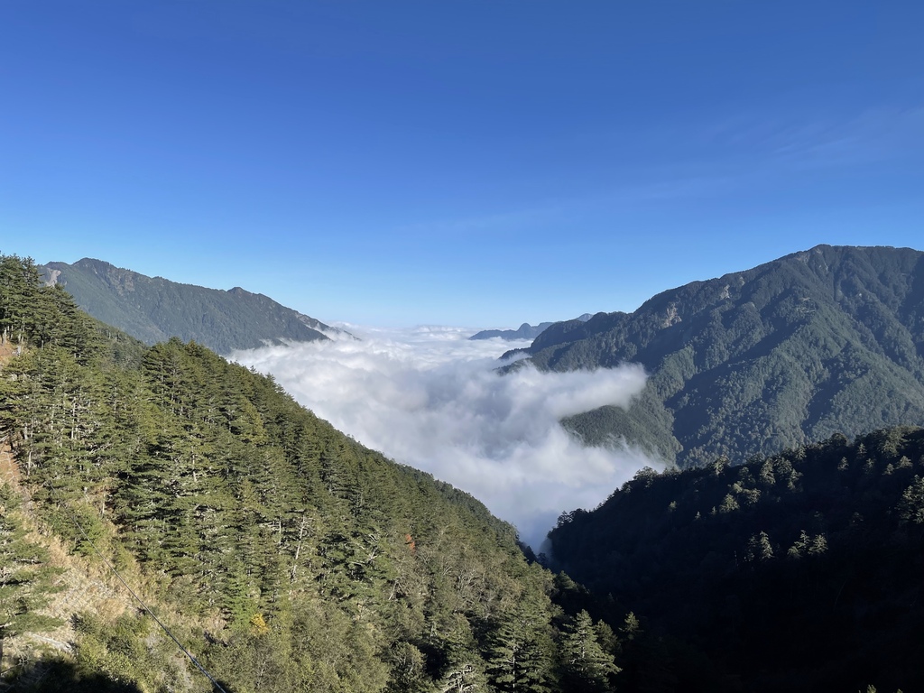 IMG_1814.jpg IMG_1814.jpg