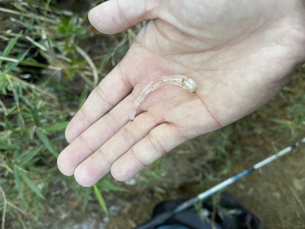 IMG_1915.jpg IMG_1915.jpg