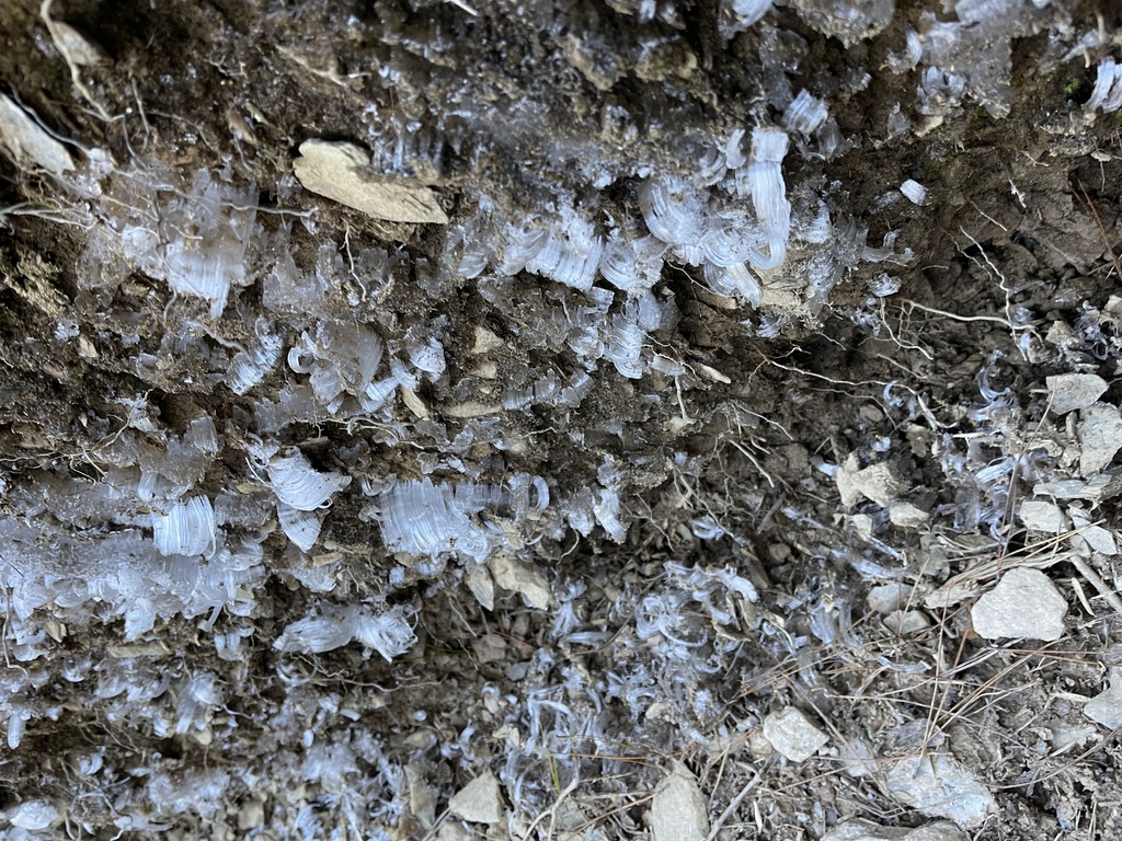 IMG_1939.jpg IMG_1939.jpg