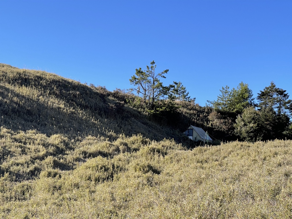 IMG_1971.jpg IMG_1971.jpg