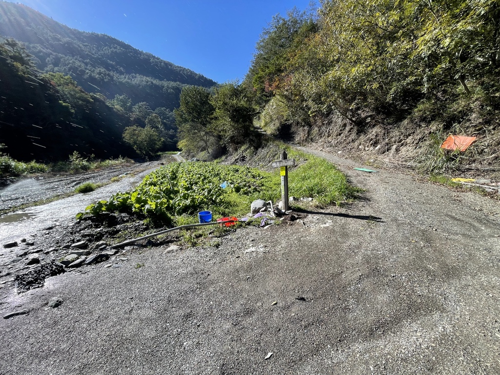 IMG_2167.jpg IMG_2167.jpg