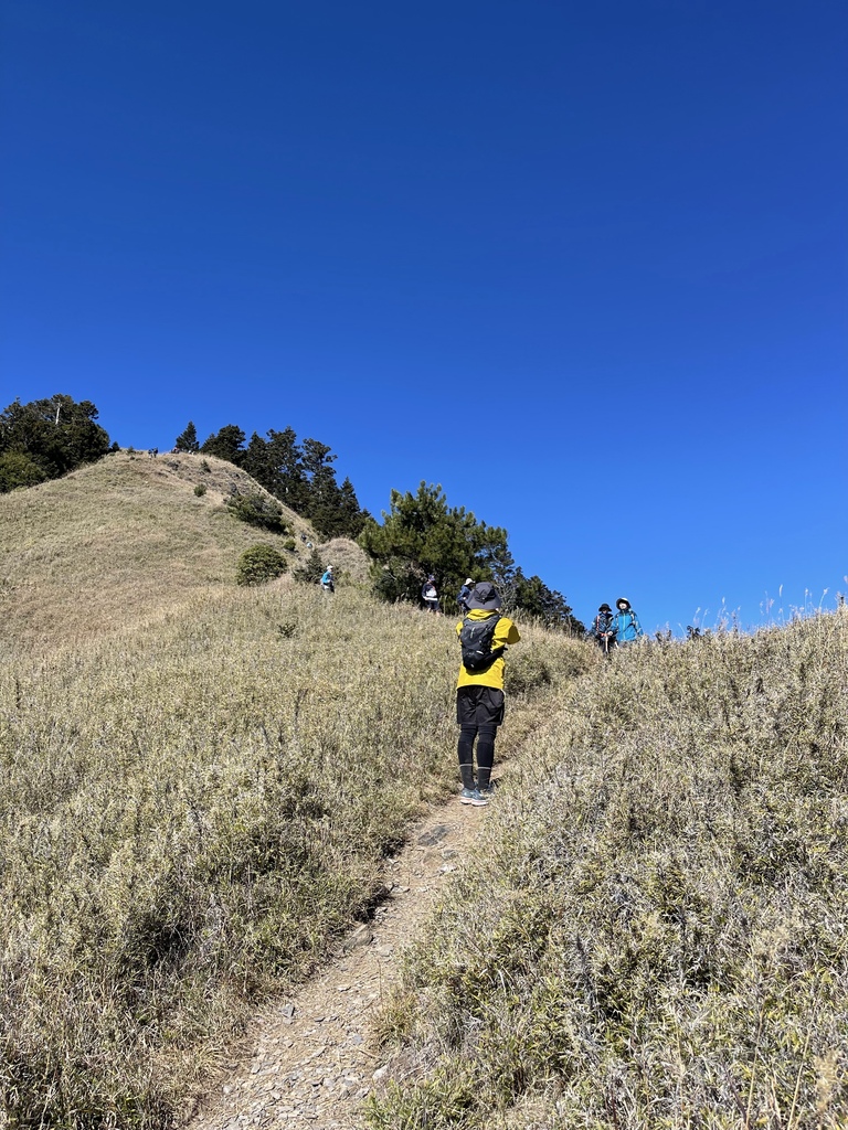 IMG_2154.jpg IMG_2154.jpg