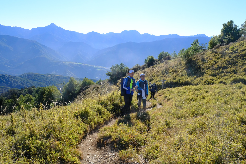 DSCF0439.JPG DSCF0439.JPG