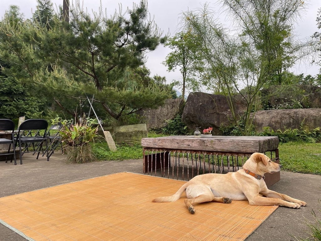 S__163897393.jpg S__163897393.jpg