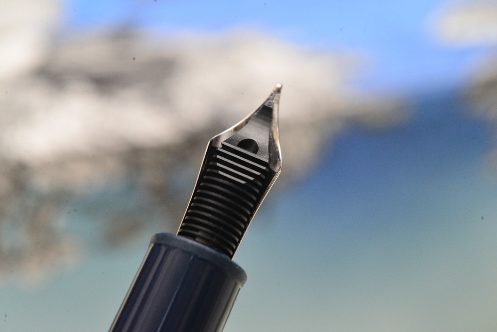 DSC_4526.JPG DSC_4526.JPG