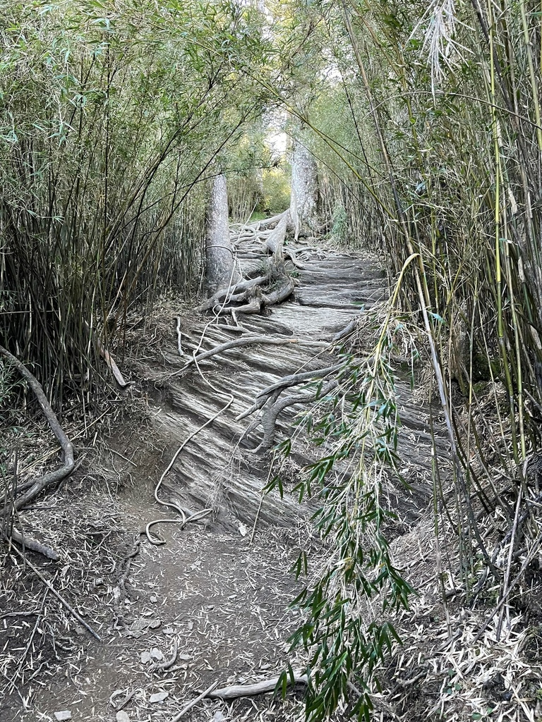 LINE_ALBUM_220722_153.jpg LINE_ALBUM_220722_153.jpg