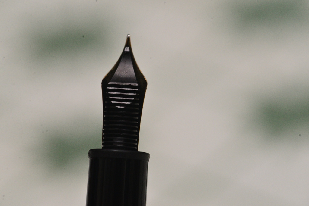 DSC_4551.JPG DSC_4551.JPG