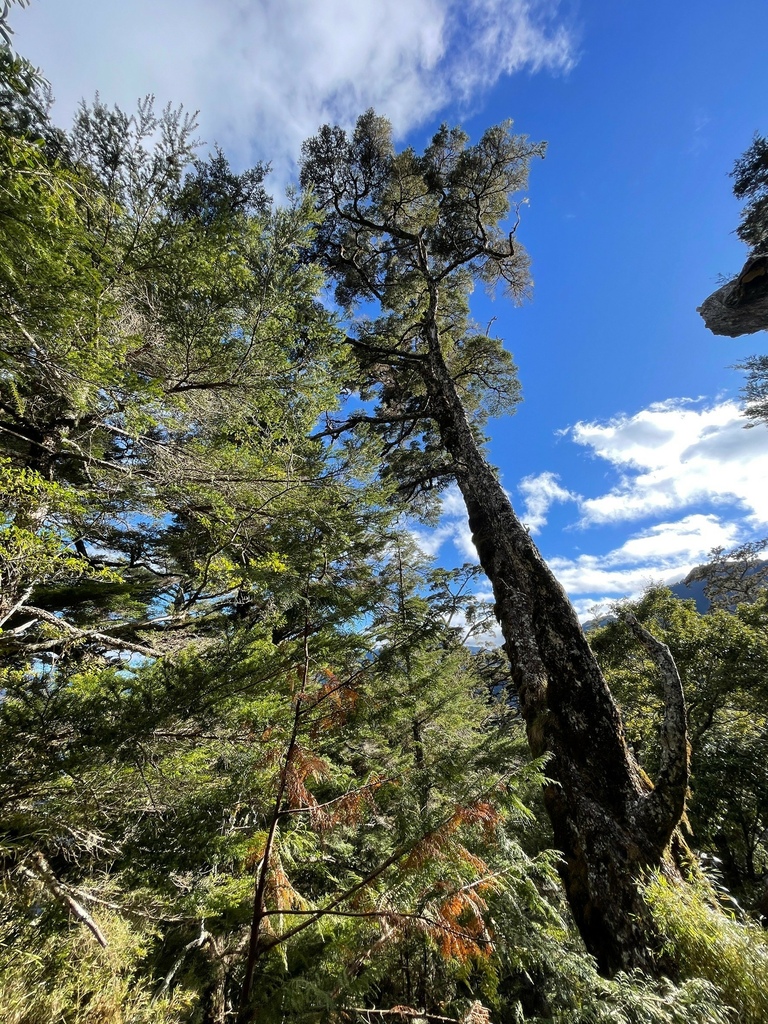 LINE_ALBUM_230120_4.jpg LINE_ALBUM_230120_4.jpg