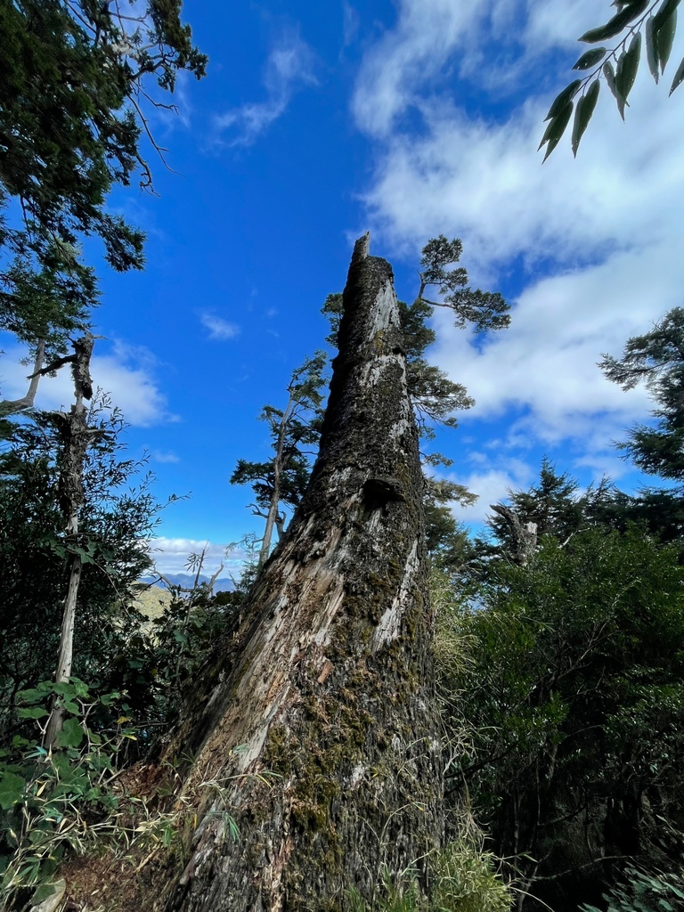 LINE_ALBUM_230120_31.jpg LINE_ALBUM_230120_31.jpg