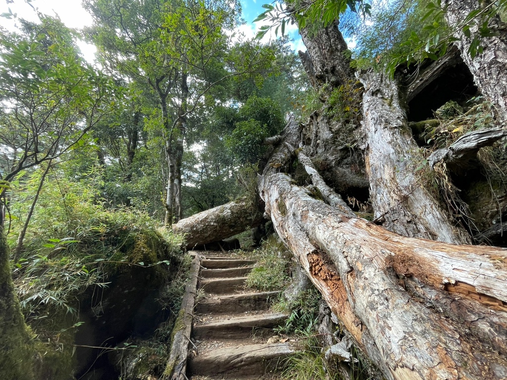 LINE_ALBUM_230120_30.jpg LINE_ALBUM_230120_30.jpg