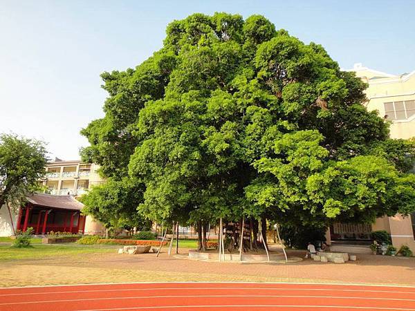 舊城國小 與 老孔廟 01