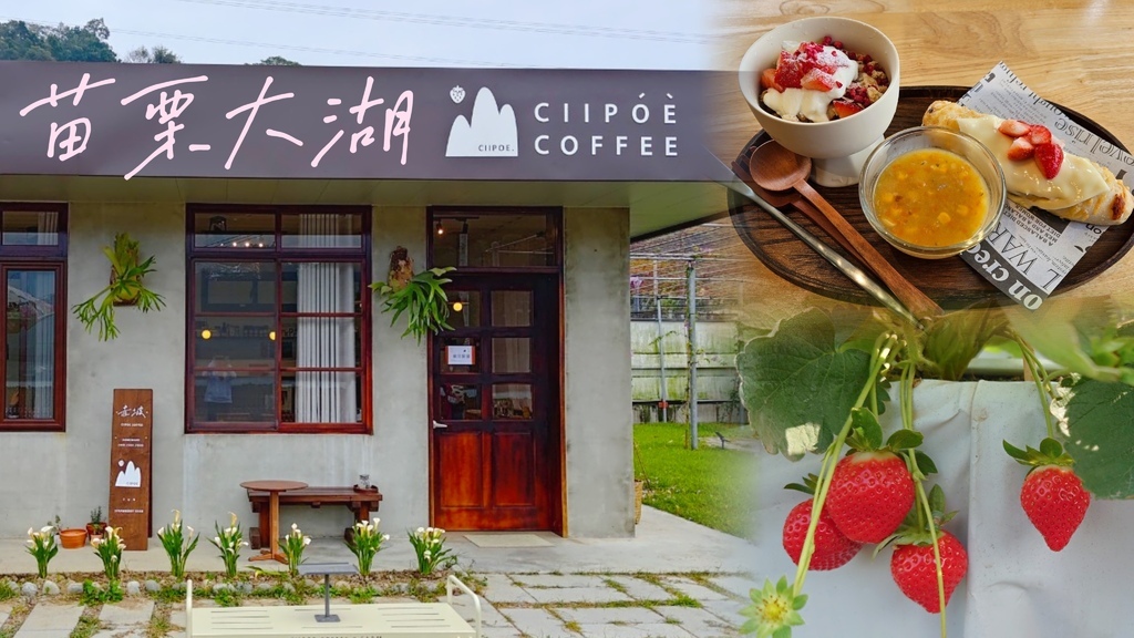 [苗栗好玩] 赤坡~草莓季開跑！全新開幕草莓園+咖啡廳，大紅