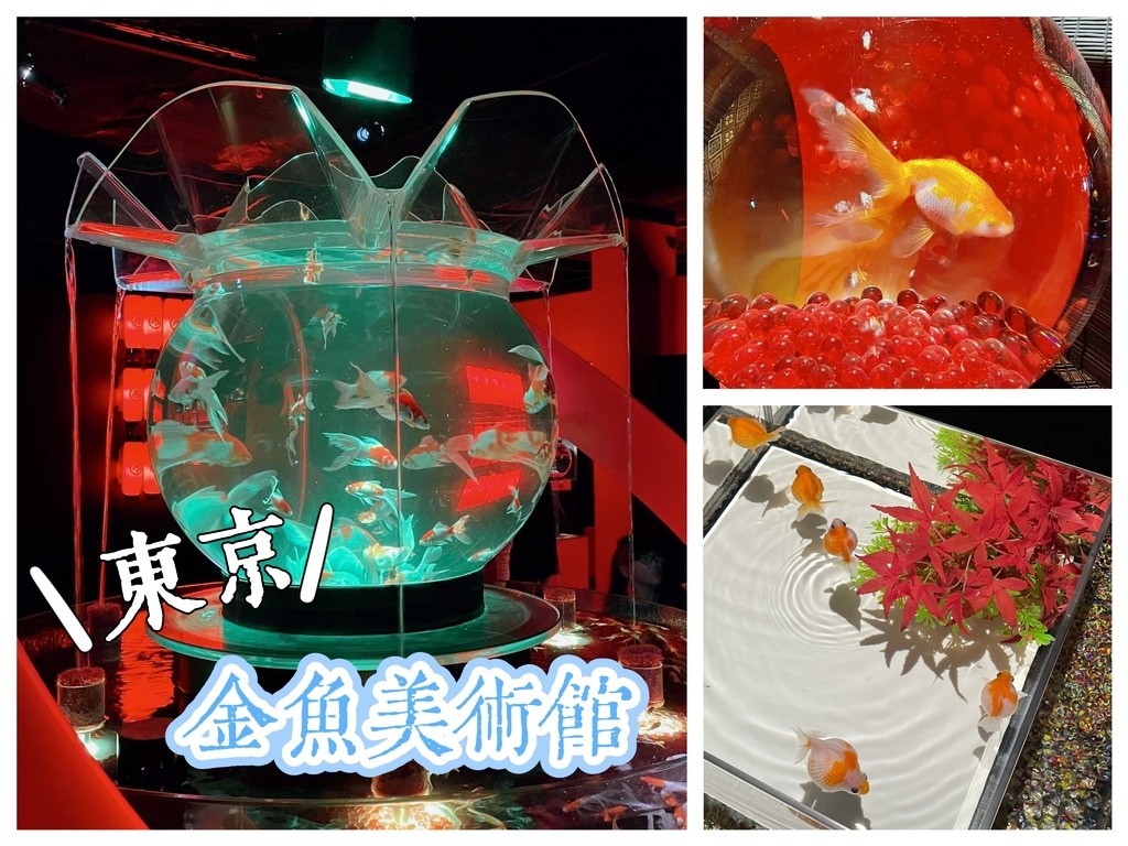 [日本好玩] 銀座金魚美術館～超吸睛！不虛此行！/東京室內景