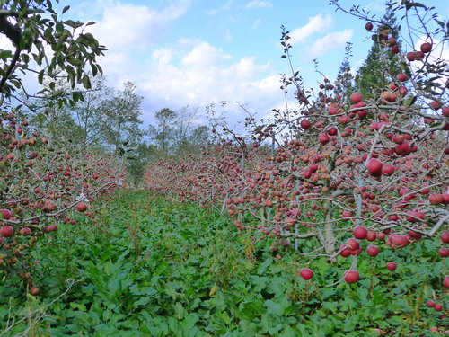 QH7X2eERNaViReu1W__oUQ - 複製 - 複製