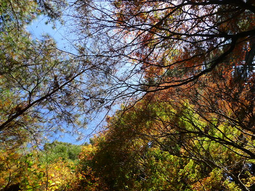 MotNNOcuZqq0FfEjdBUYJg