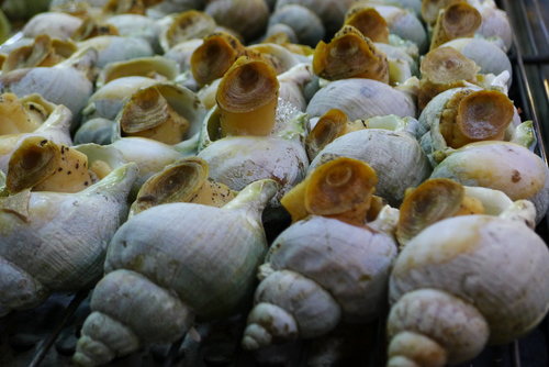 B7ruIGkP4ri99_OJK38FiQ