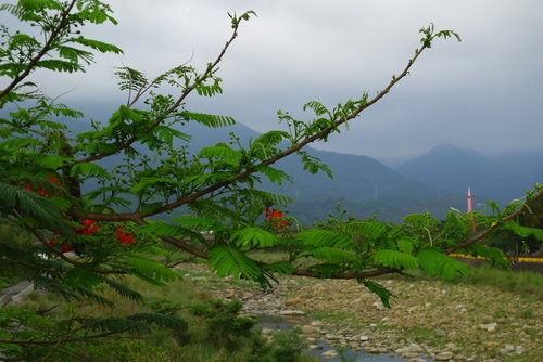 B9ZJp0Ngnse9wzUre_W3XQ