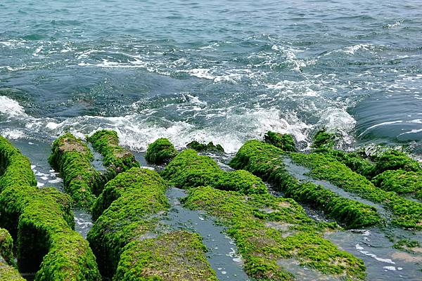 L1360705 - 複製.JPG