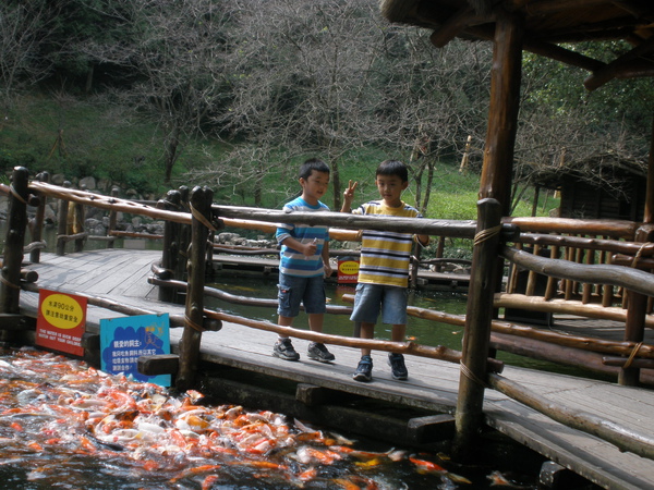PA172139.JPG PA172139.JPG