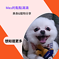 dodo側邊.png