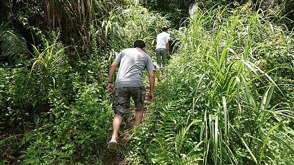 【昵昵媽露營趣】南投國姓_黃金森林露營區(2訪)╭＊春日綠意