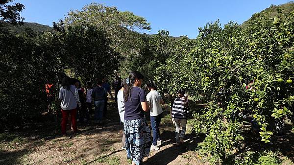 【昵昵媽露營趣】南投國姓_黃金森林露營區(3訪)╭＊芋粿DI