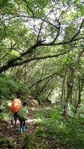 01樸實的古道.JPG 01樸實的古道.JPG